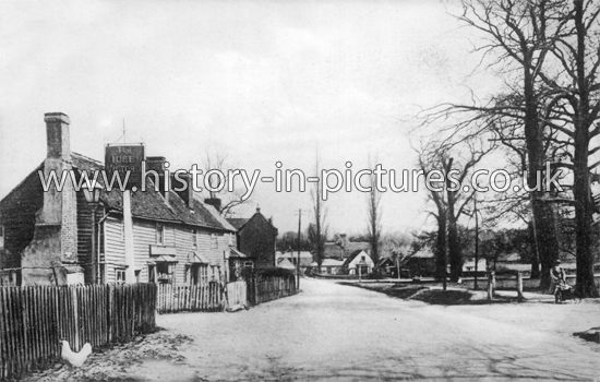The Queen Victoria Inn and Village, Theydon Bois, Essex. c.1910